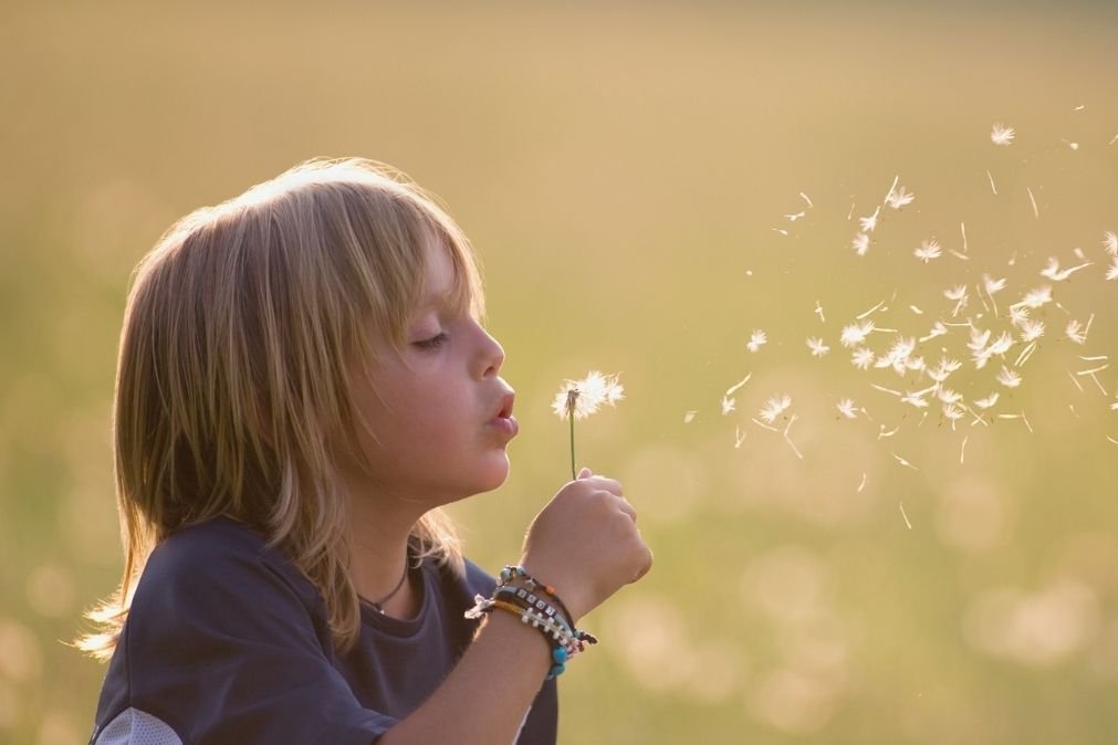 Young girl blowing dandelion seeds in the sunlight, illustrating emotional regulation in children